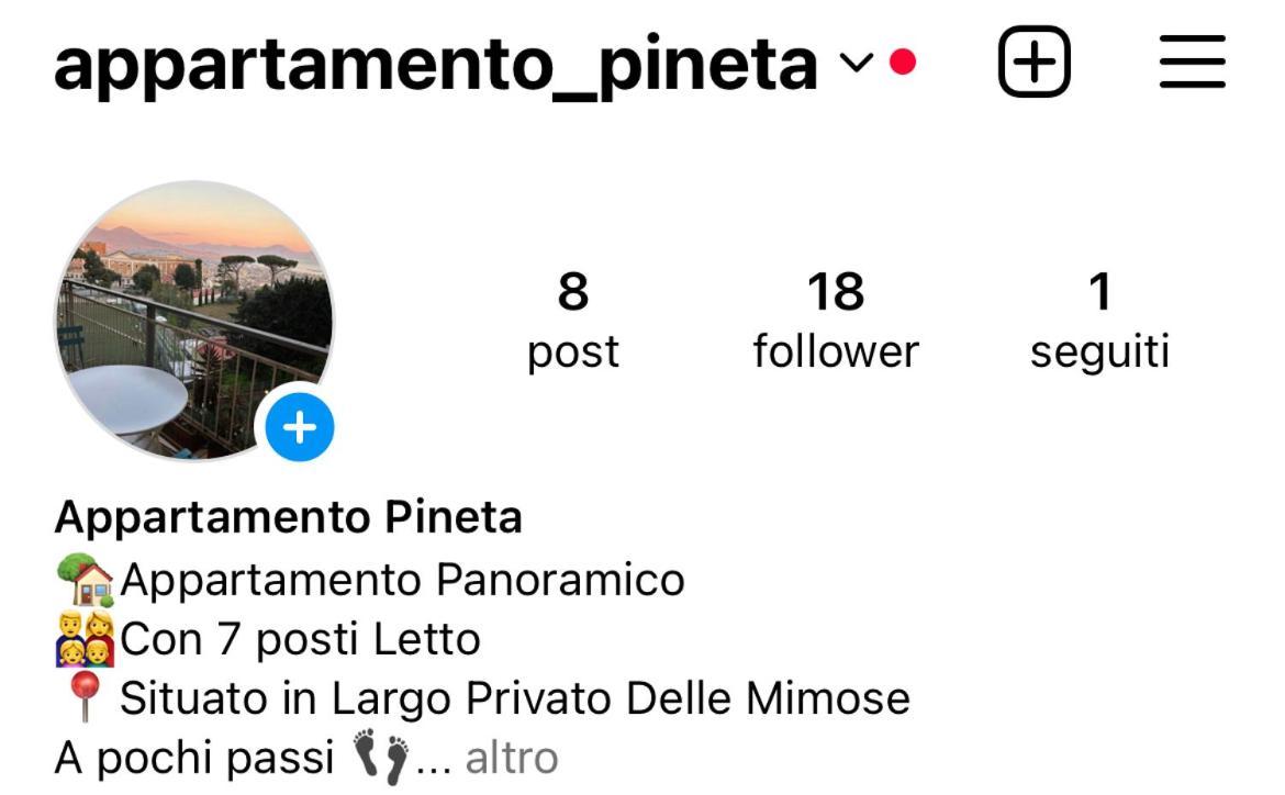 Pineta Apartment *